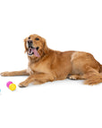 West Paw - Boundr® 2-Pack Dog Toy Ball for Play, Chew, and Fetch: Glow