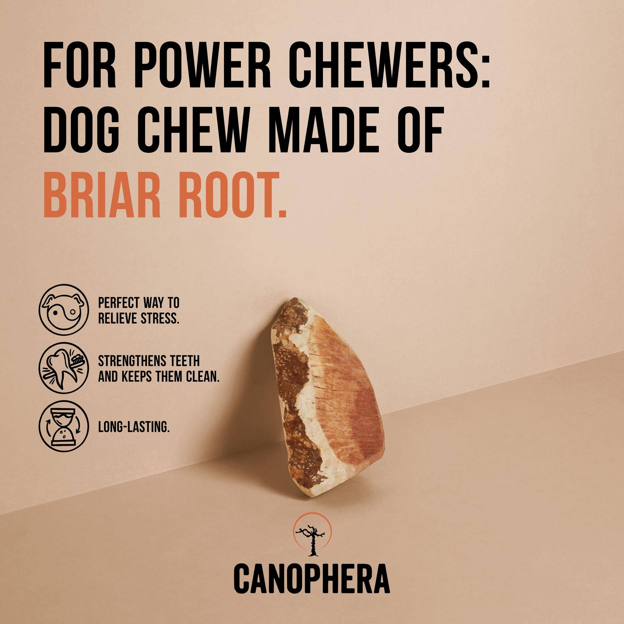 CANOPHERA LLC - Dog Chew Made of Briar Root.: L