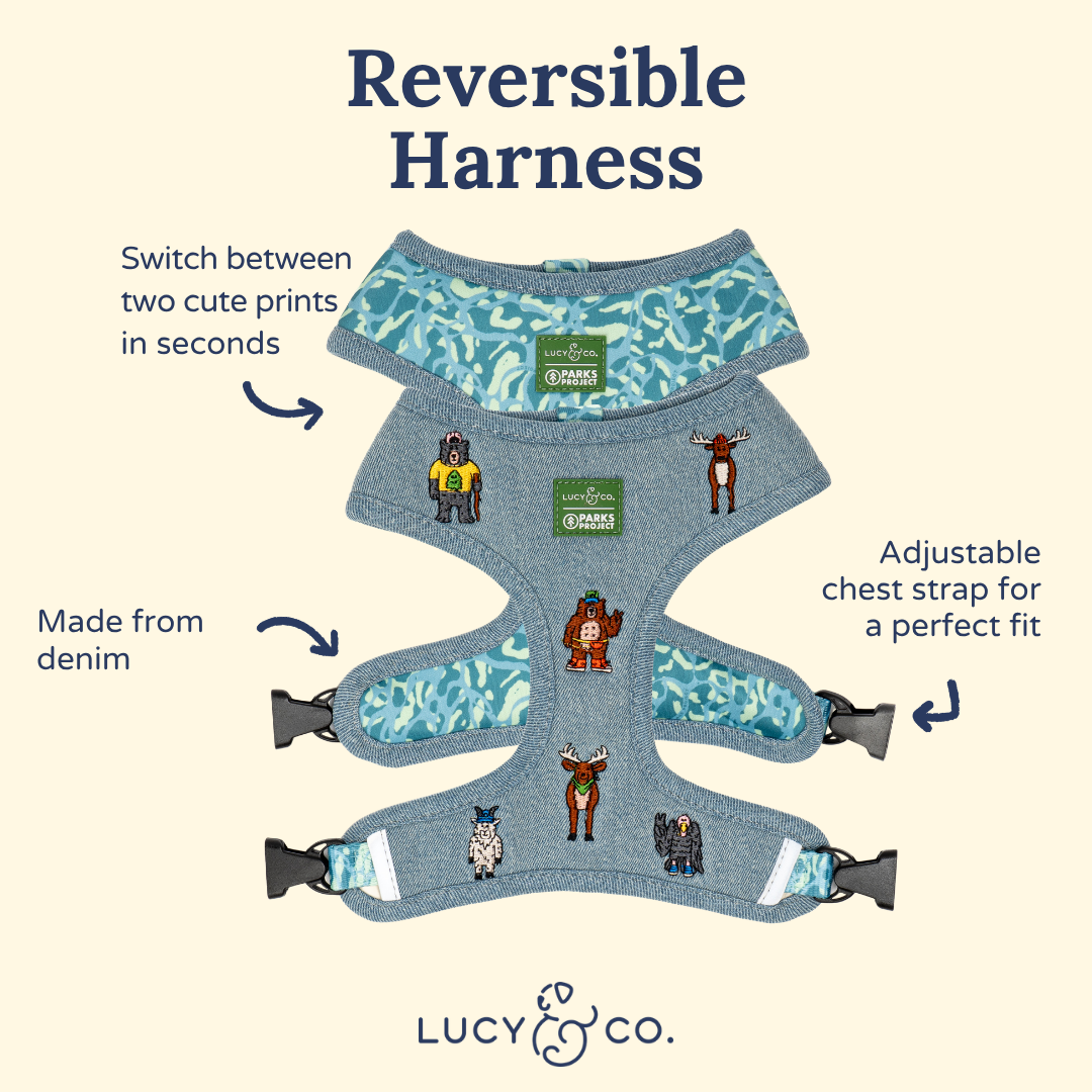 Lucy &amp; Co. - Lucy &amp; Co. x Parks Project Adventures with Friends Reversible Harness