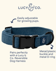 Lucy & Co. - Blue Jeans Collar: S