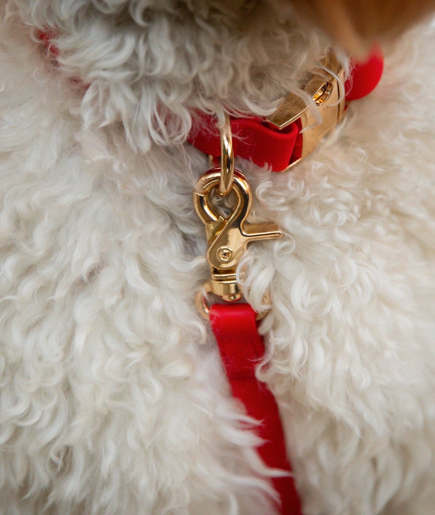 SUNNY TAILS - Cherry Red Waterproof Cloud Dog Leash: 5 FT