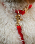 SUNNY TAILS - Cherry Red Waterproof Cloud Dog Leash: 5 FT