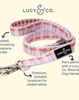 Lucy & Co. - Take a Bow Leash: L