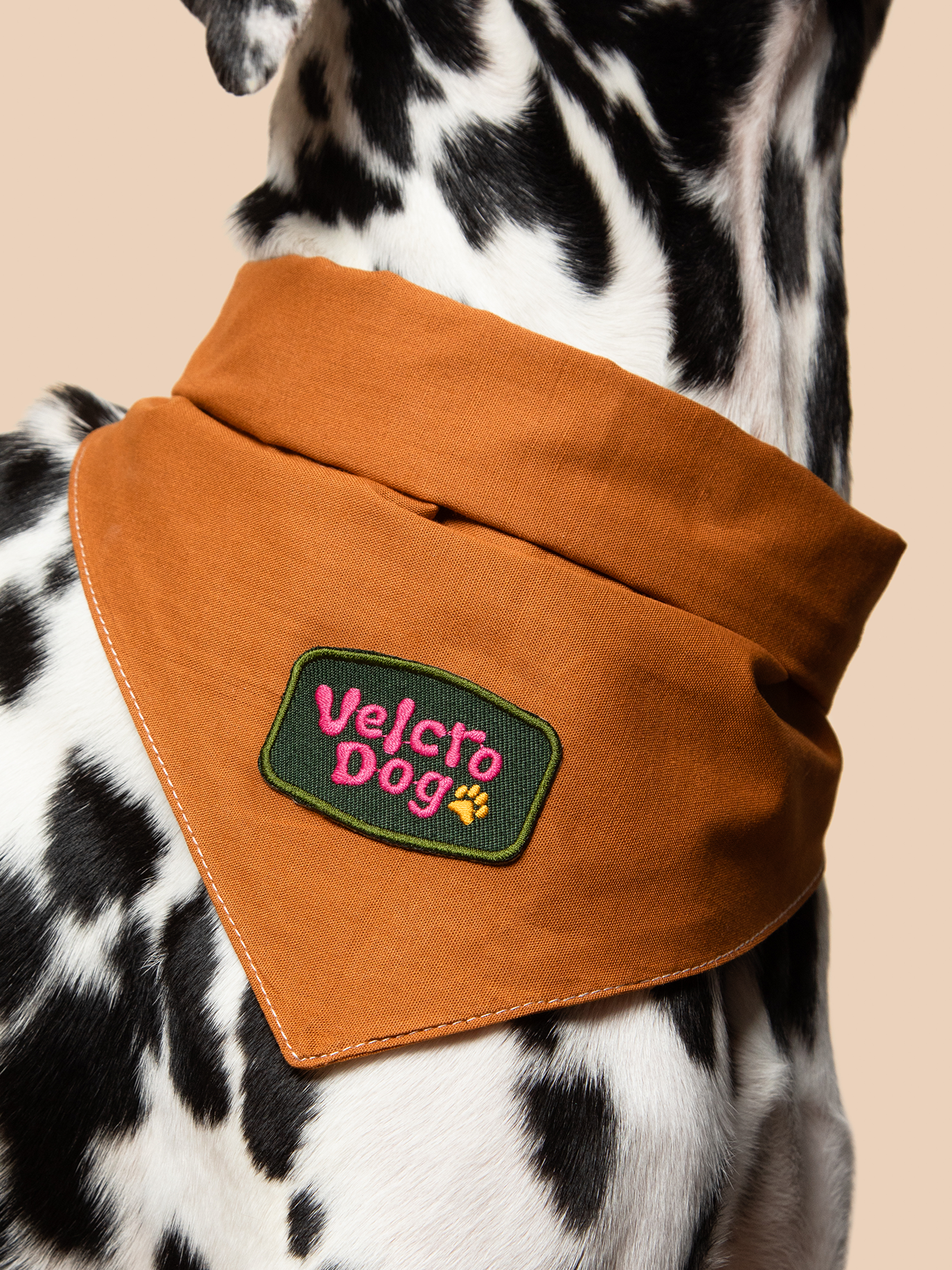 Scout's Honour Pty Ltd - Velcro Dog iron-on patch for dogs and cats