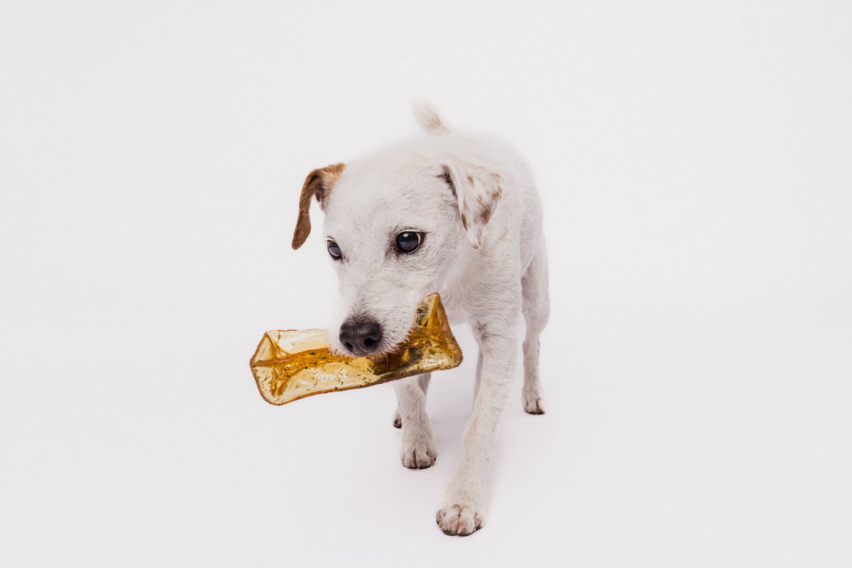 Wag &amp; Bright Supply Co. - Mighty Marrows Collagen Dental Chew - Bacon - 3 Sizes: Large