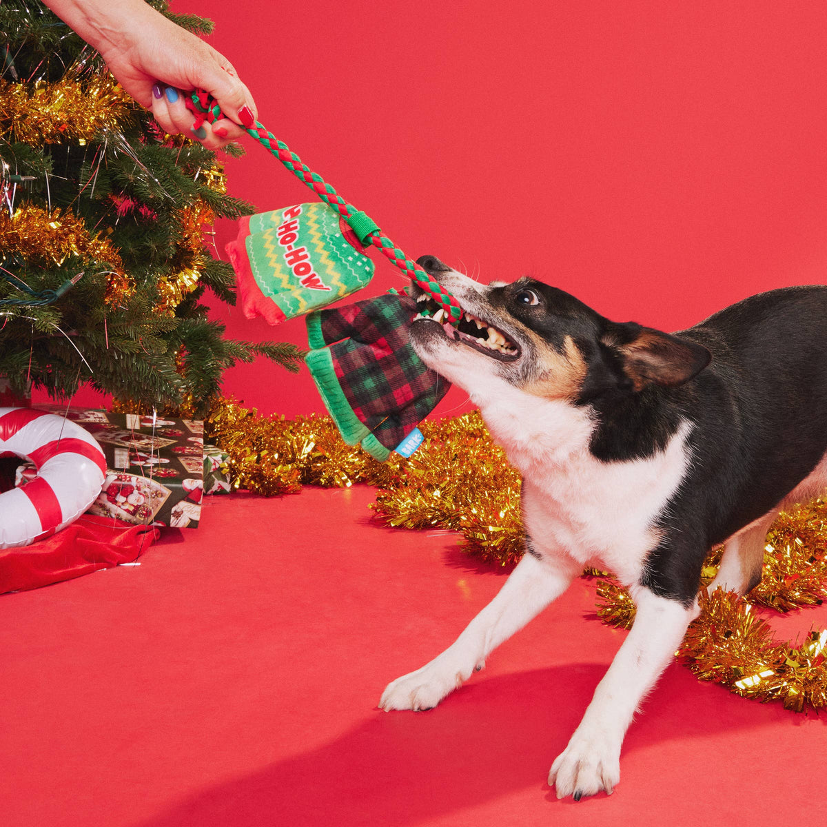Pet Palette Distribution - BARK Holiday Christmutts Sweaters Dog Toy