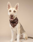 The Paws - Hazel Dog Bandana