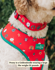Lucy & Co. - Happy Howlidays Collar