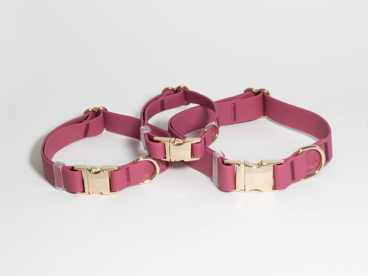 Sunny Tails Mulberry Burgundy Waterproof Dog Collar