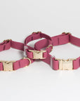 Sunny Tails Mulberry Burgundy Waterproof Dog Collar