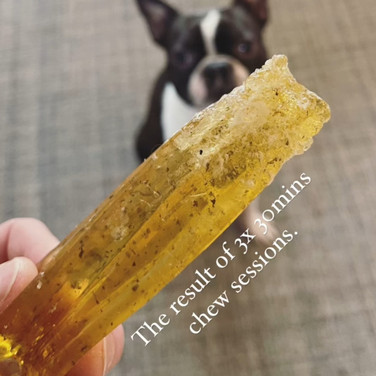 Wag &amp; Bright Supply Co. - Mighty Marrows Collagen Dental Chew- Spirulina Beef- 3 Sizes: Large