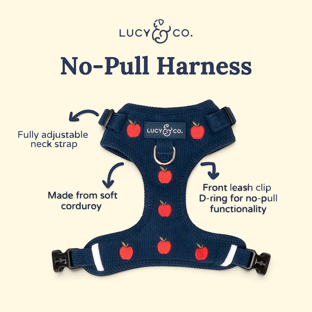 Lucy &amp; Co. - Appley Ever After Corduroy No-Pull Harness