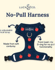 Lucy & Co. - Appley Ever After Corduroy No-Pull Harness