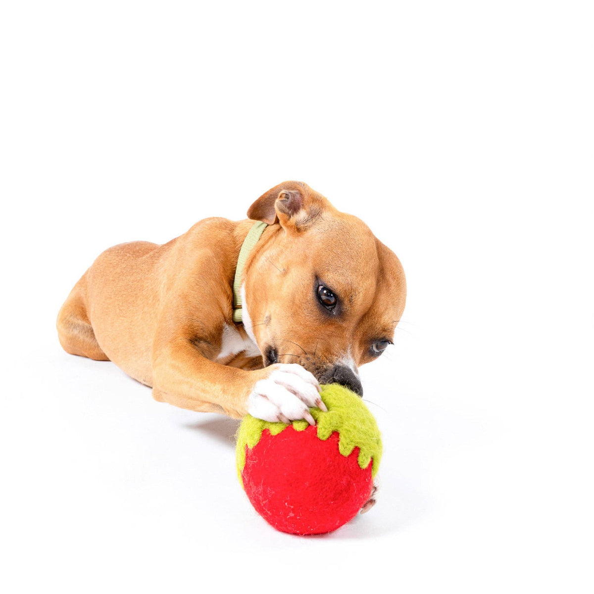 Awoo - Poison Apple Felt Wool Toy