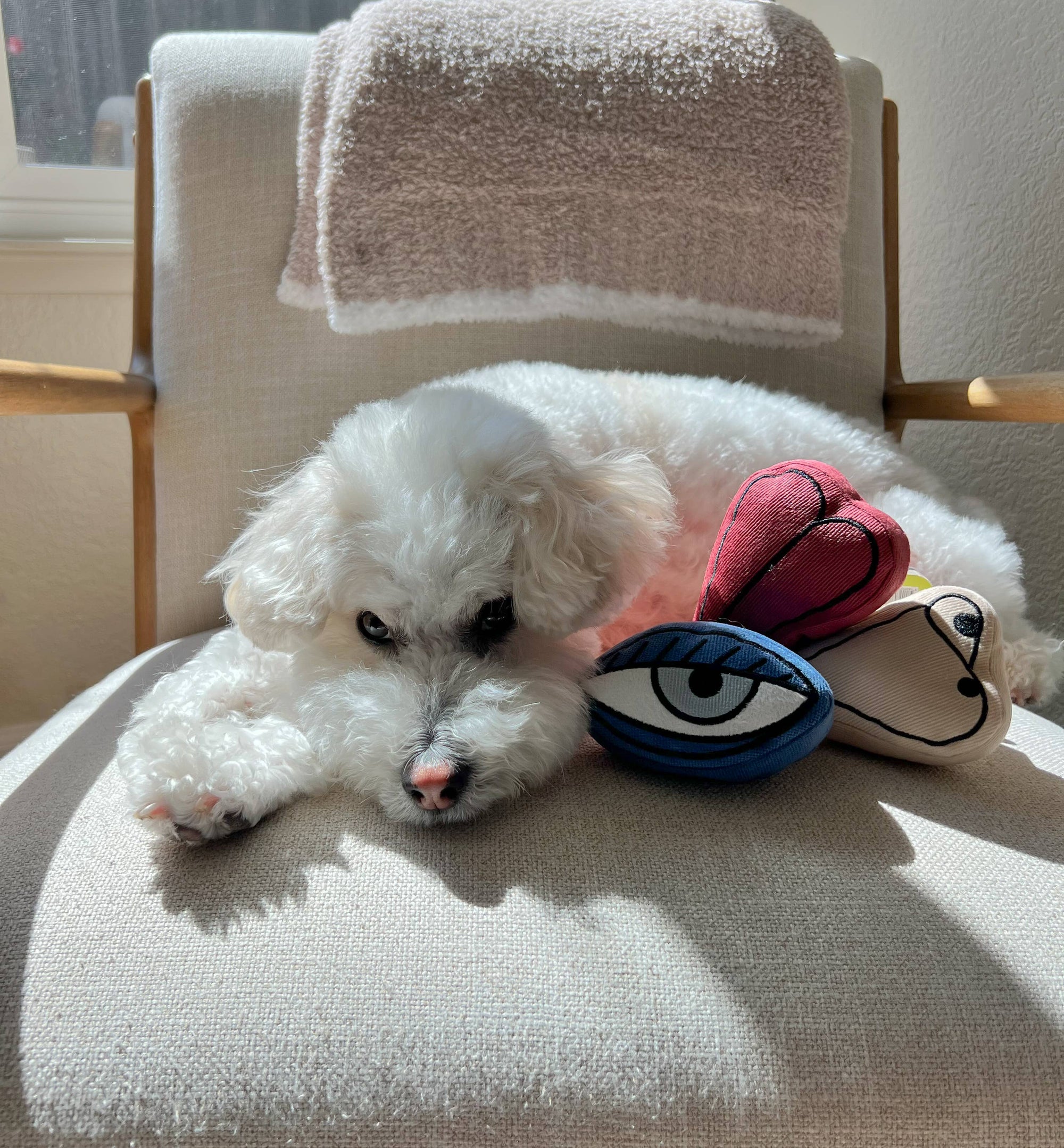 Lambwolf Collective - PICASSO//ENRICHMENT DOG TOY