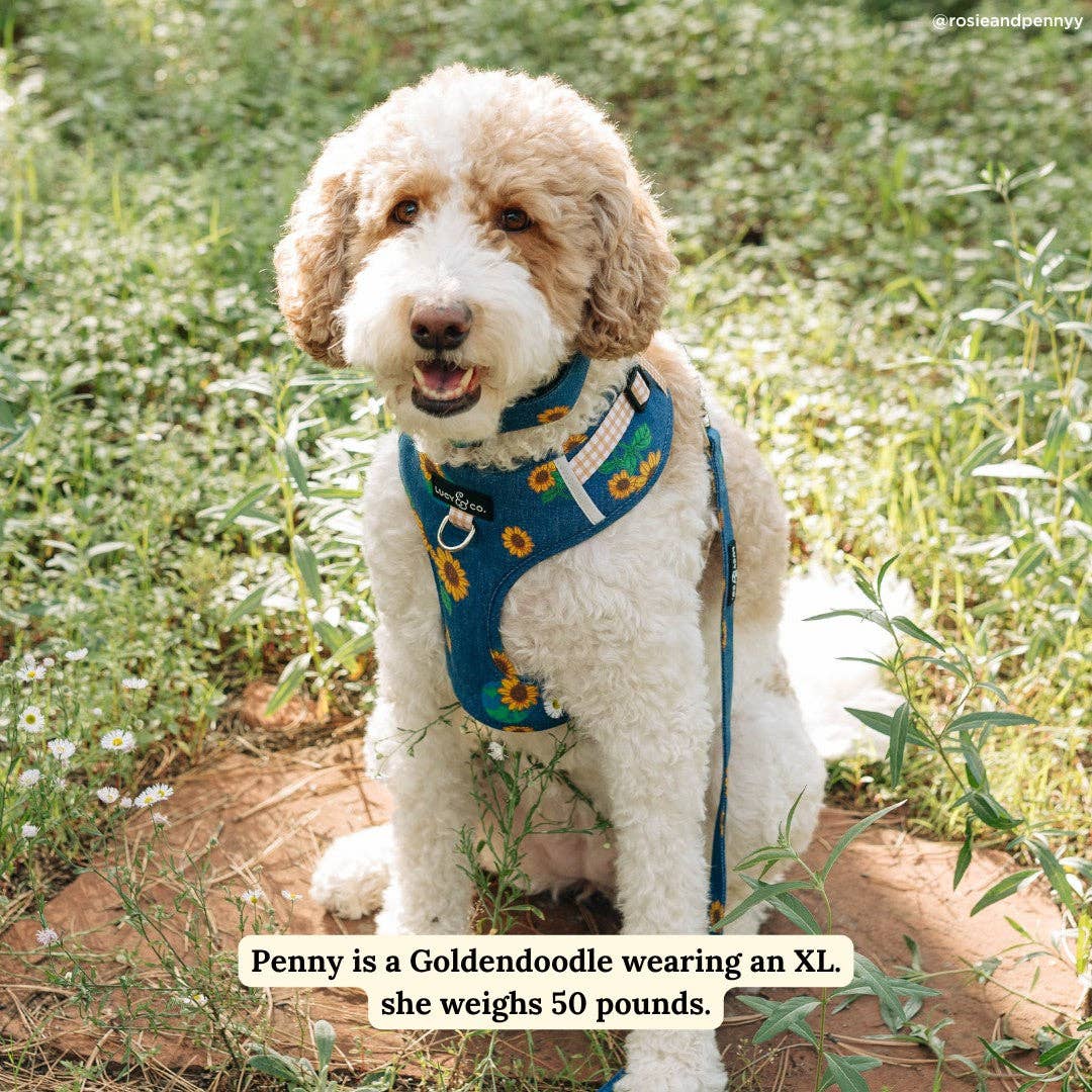 Lucy &amp; Co. - Sunflower Power Denim No-Pull Harness