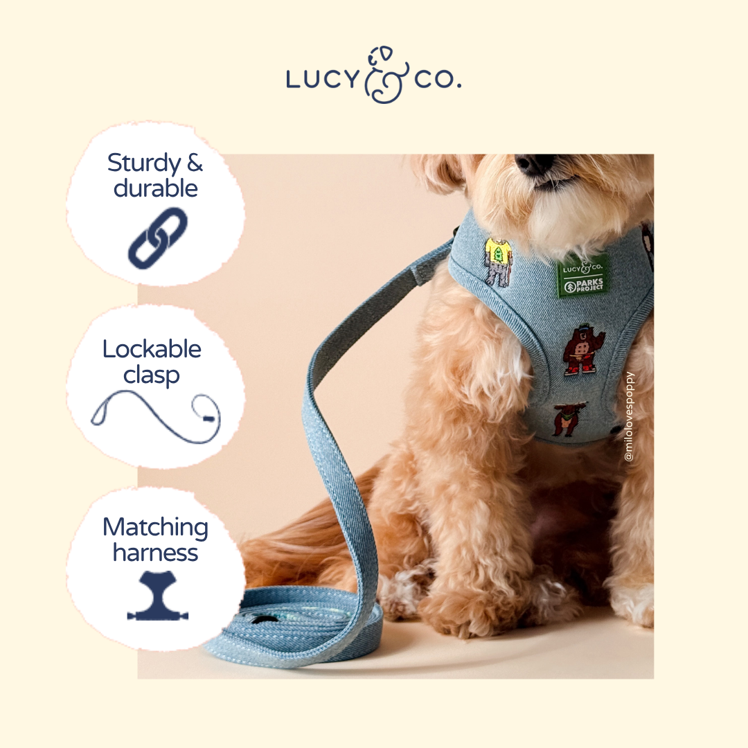 Lucy &amp; Co. - Lucy &amp; Co. x Parks Project Adventures with Friends Leash