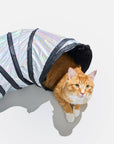 Wild One - Cat Tunnel: Lunar