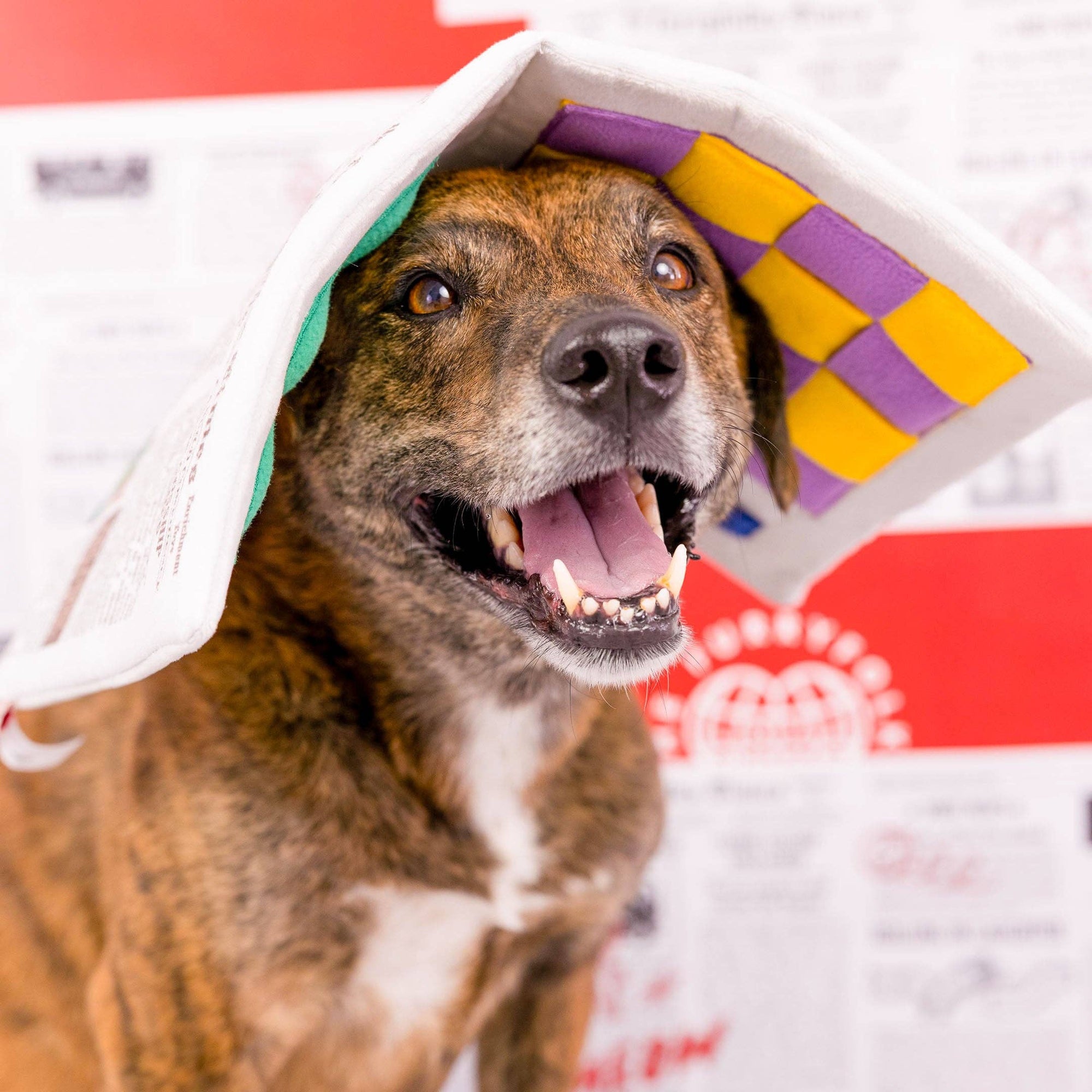 the furryfolks - Newspaper Nosework Toy