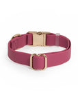 Sunny Tails Mulberry Burgundy Waterproof Dog Collar