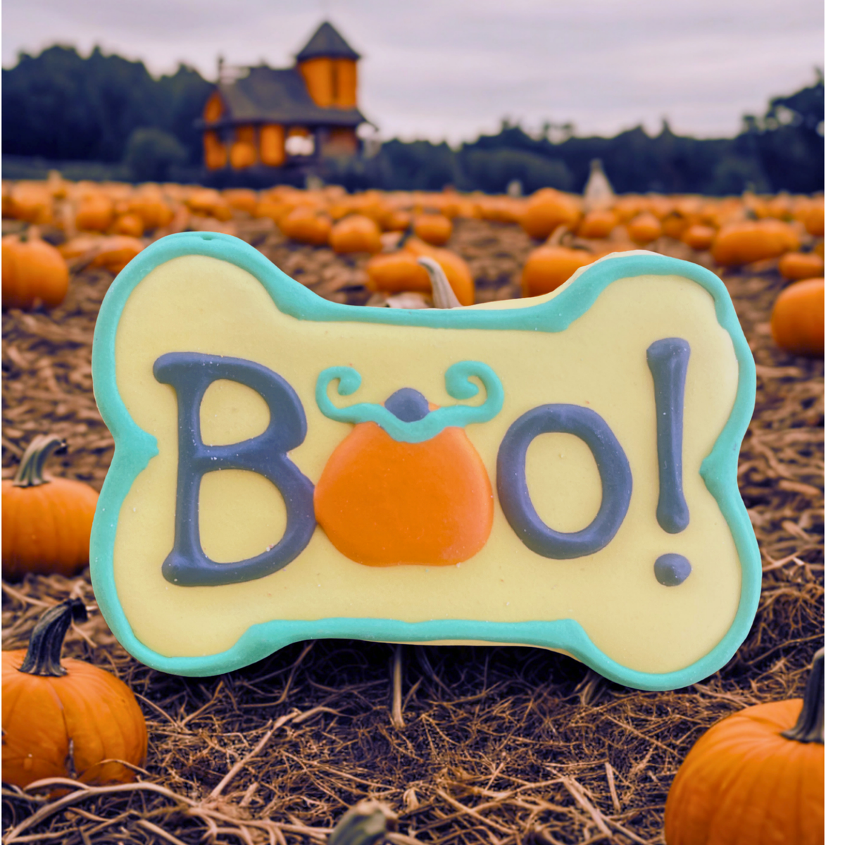 Lucky Biscuit Pet Bakery - Halloween Boo Bone: Boo Bone