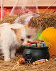BARK Howl-O-Ween Candy Plush Dog Toy