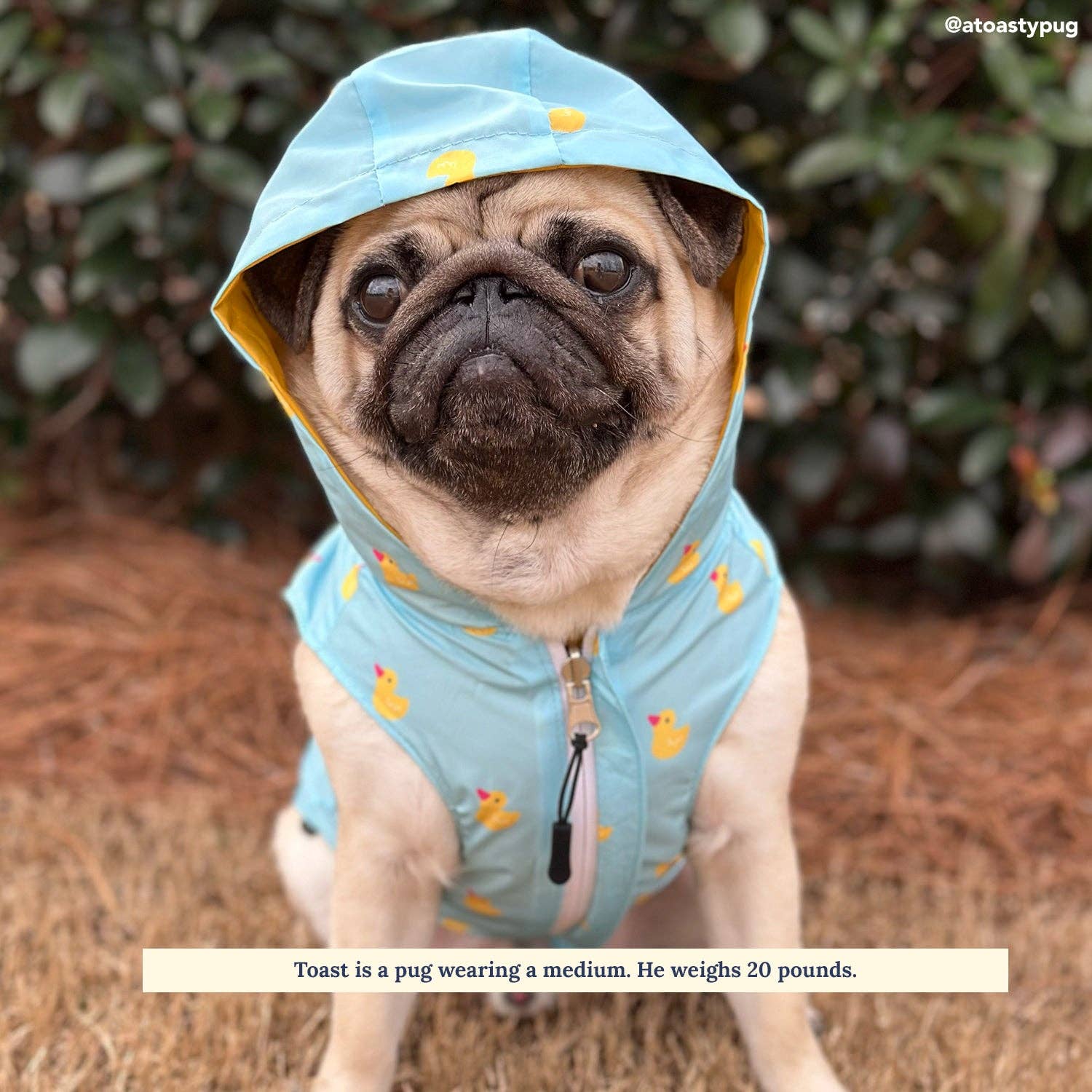 Lucy & Co. - The Lucky Ducky Reversible Raincoat