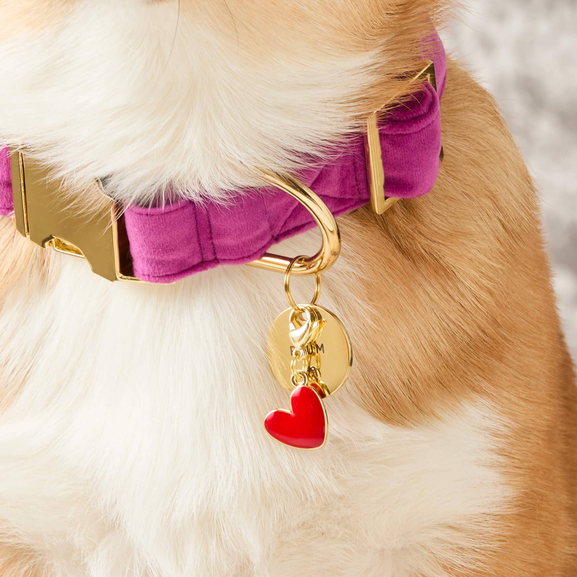 The Foggy Dog - Red Heart Collar Charm: Charm Only