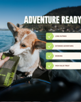 RYŌKEN INSTINCT - Venison Treat & Snack Bar for Active Dog - Energy & Recovery