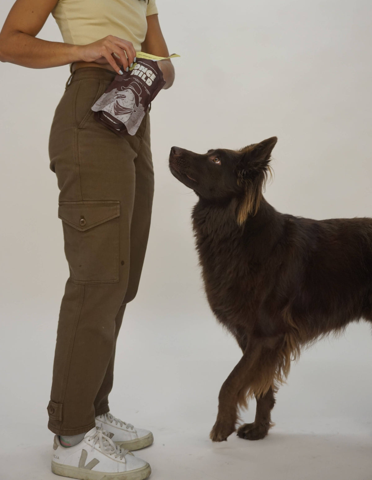 Once Wild - Bison Organ Blend Treats