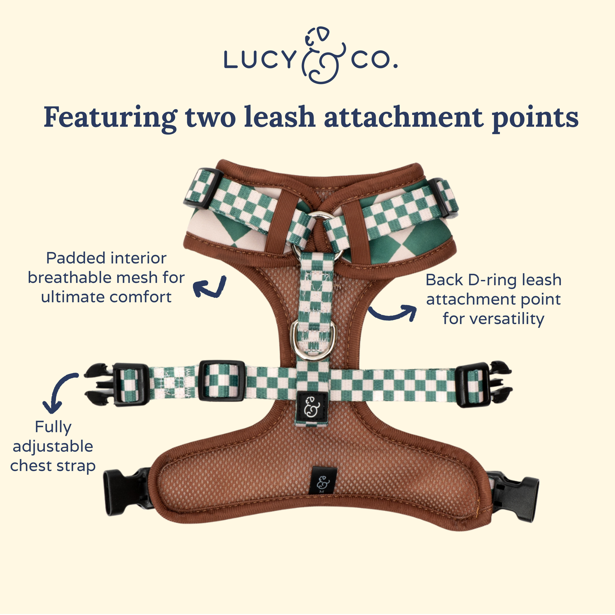 Lucy &amp; Co. - You're a Square No-Pull Harness: Large