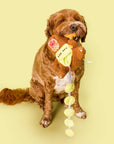 the furryfolks - Happy Bear Tofino Nosework Toy