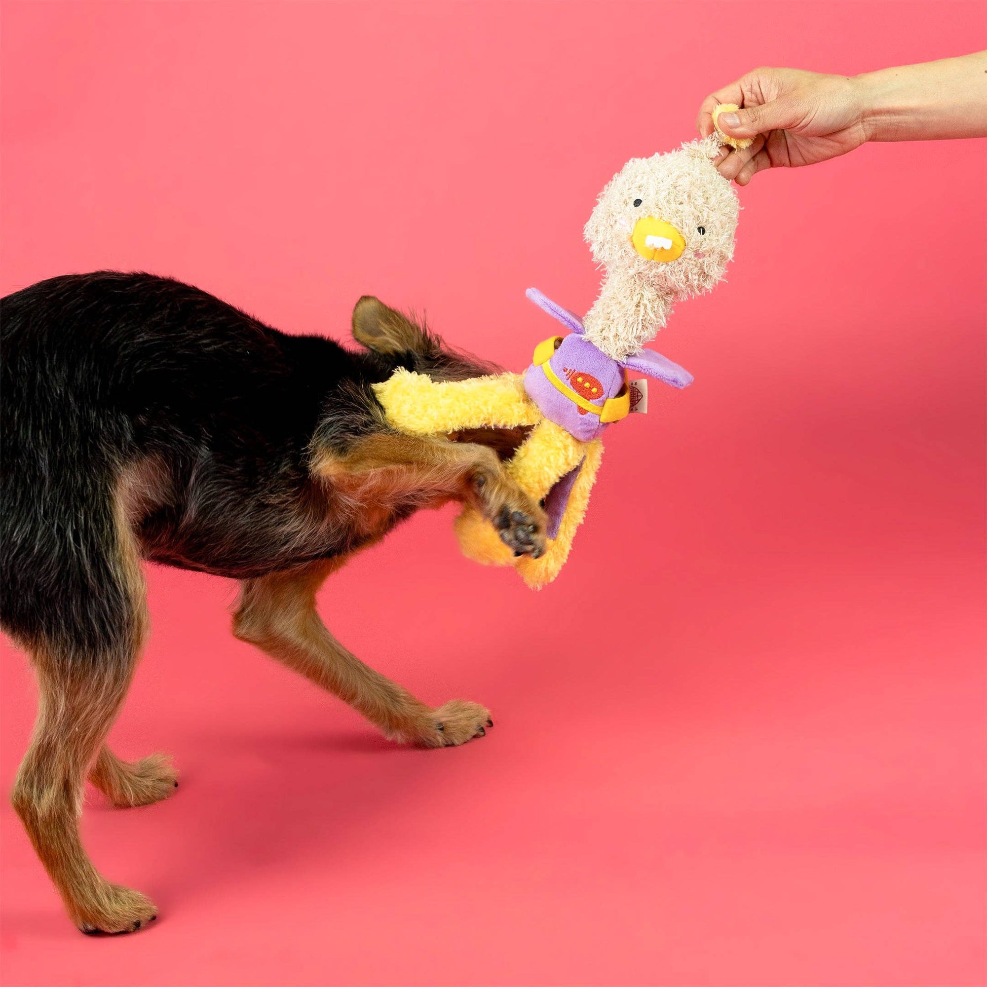 the furryfolks - OstriKraken Nosework Toy