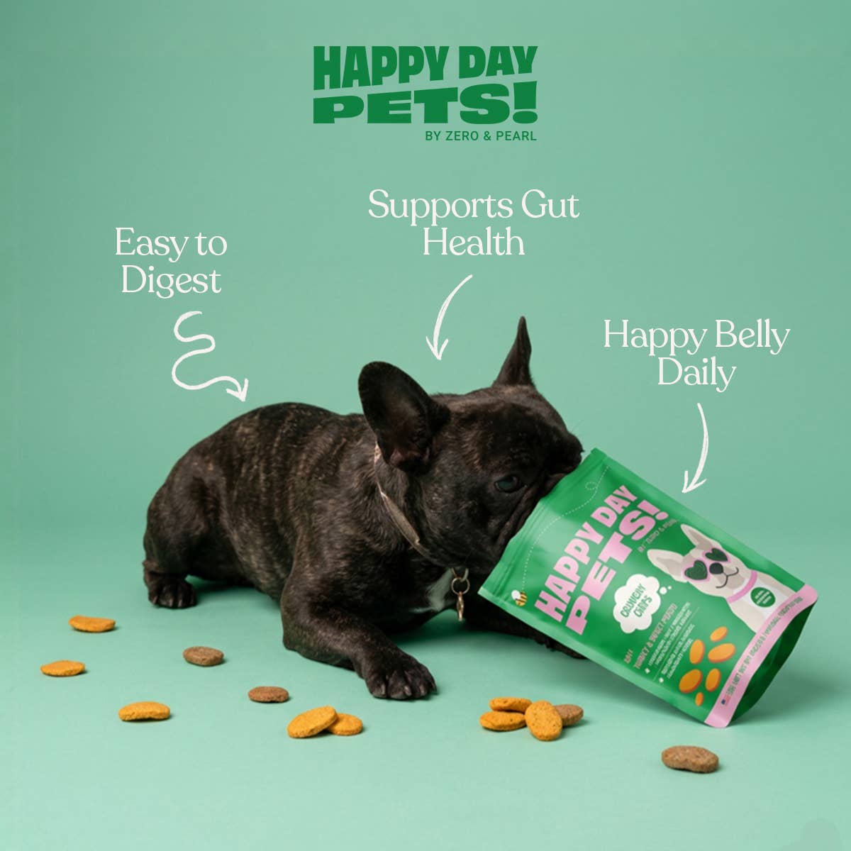 Happy Day Pets - Happy Day Pets Turkey &amp; Sweet Potato Chips Dog Treats