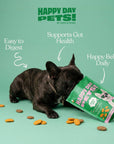 Happy Day Pets - Happy Day Pets Turkey & Sweet Potato Chips Dog Treats