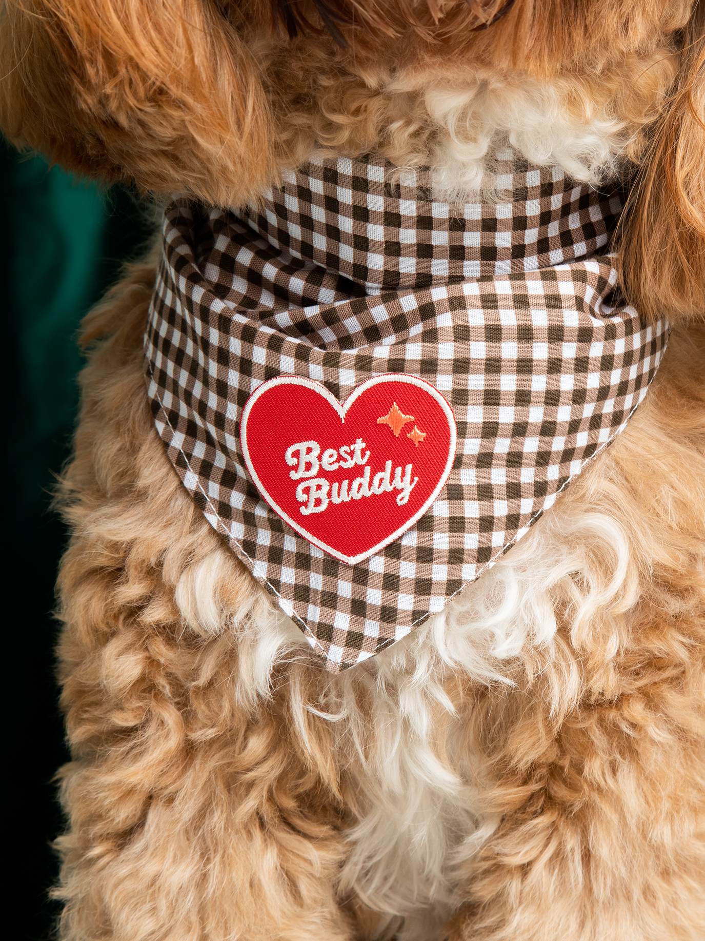 Scout's Honour Pty Ltd - Best Buddy iron-on patch for dogs and cats