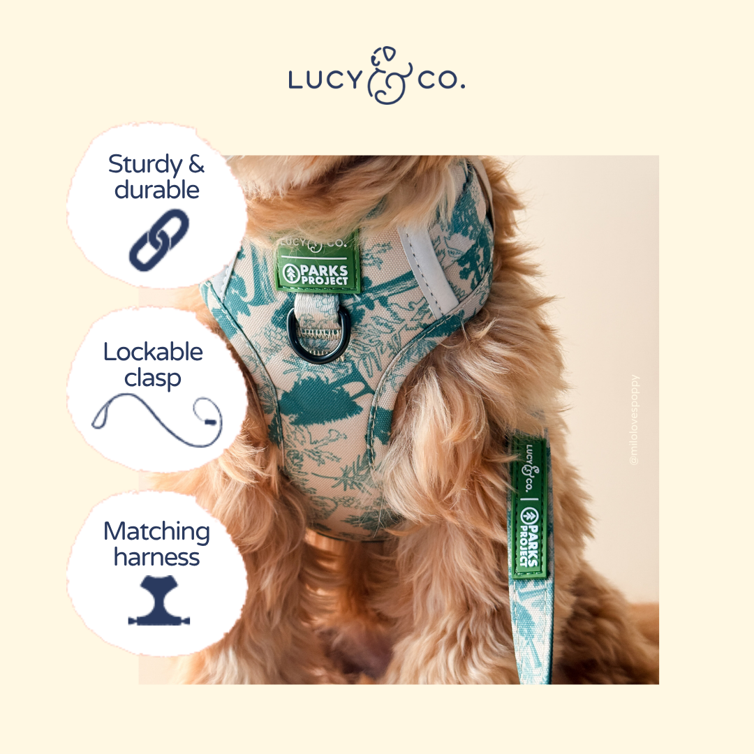 Lucy &amp; Co. - Lucy &amp; Co. x Parks Project Sequoia Seedlings Leash