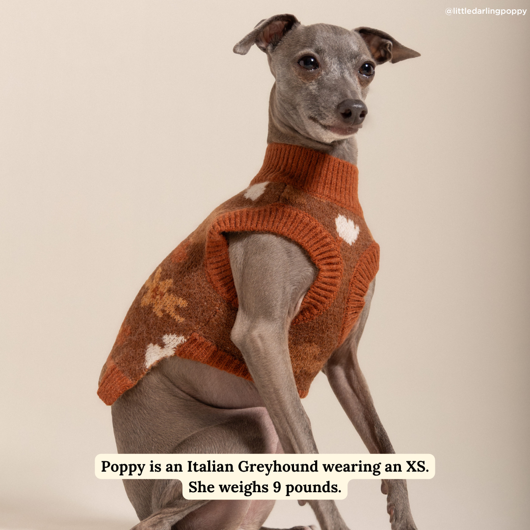 Lucy &amp; Co. - Chocolate Meadows Sweater