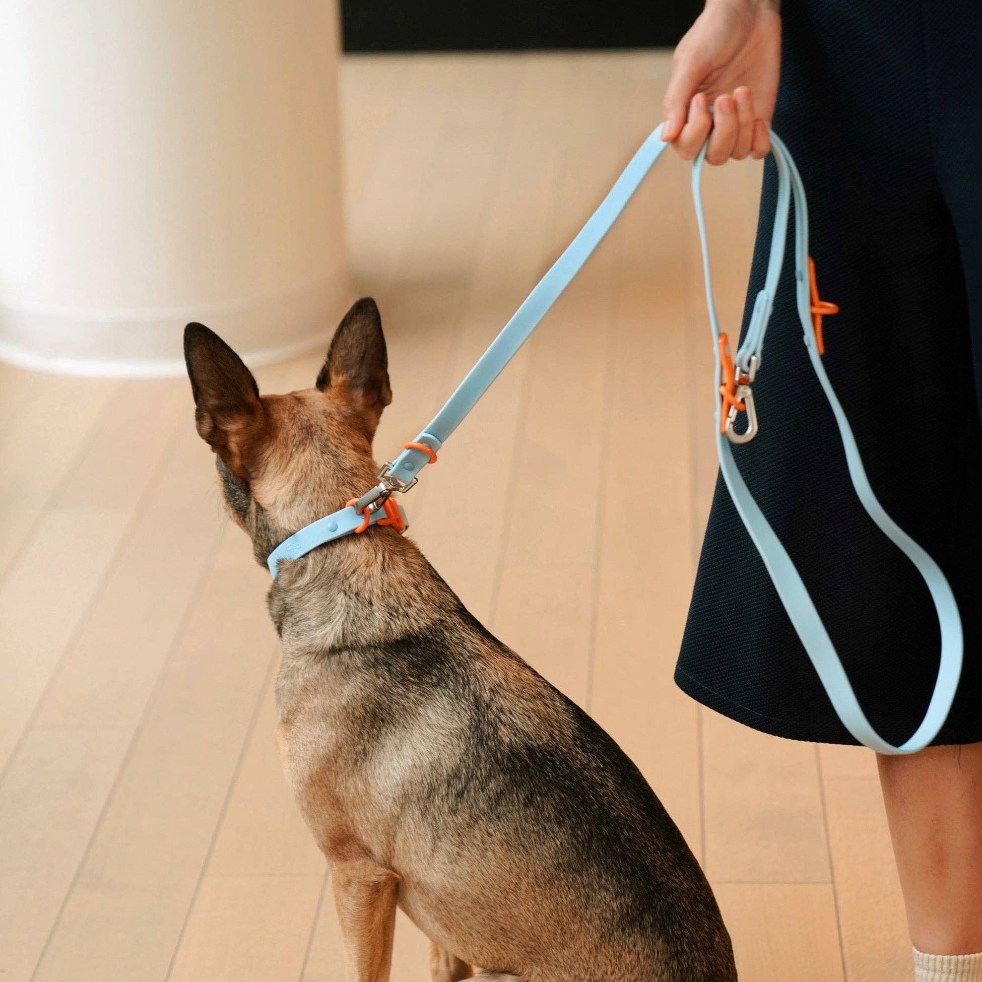 The Fritz Collar Baby Blue and Orange