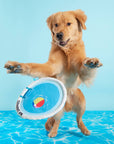 BARK Deep End Disc Plush Dog Toy
