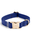 SUNNY TAILS - Signature Navy Waterproof Dog Collar: MEDIUM