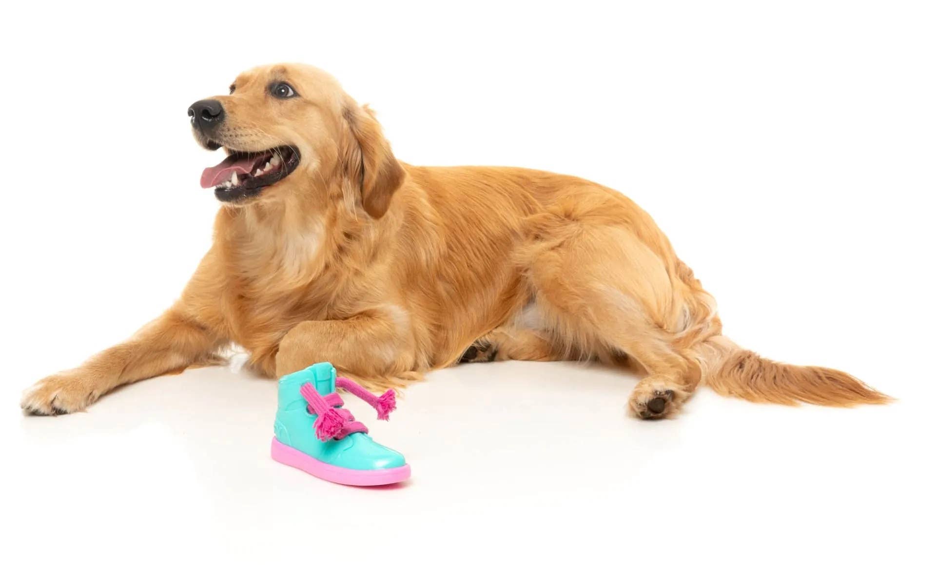 FuzzYard Fresh Kicks N&#39; Licks Dog Chew Toy