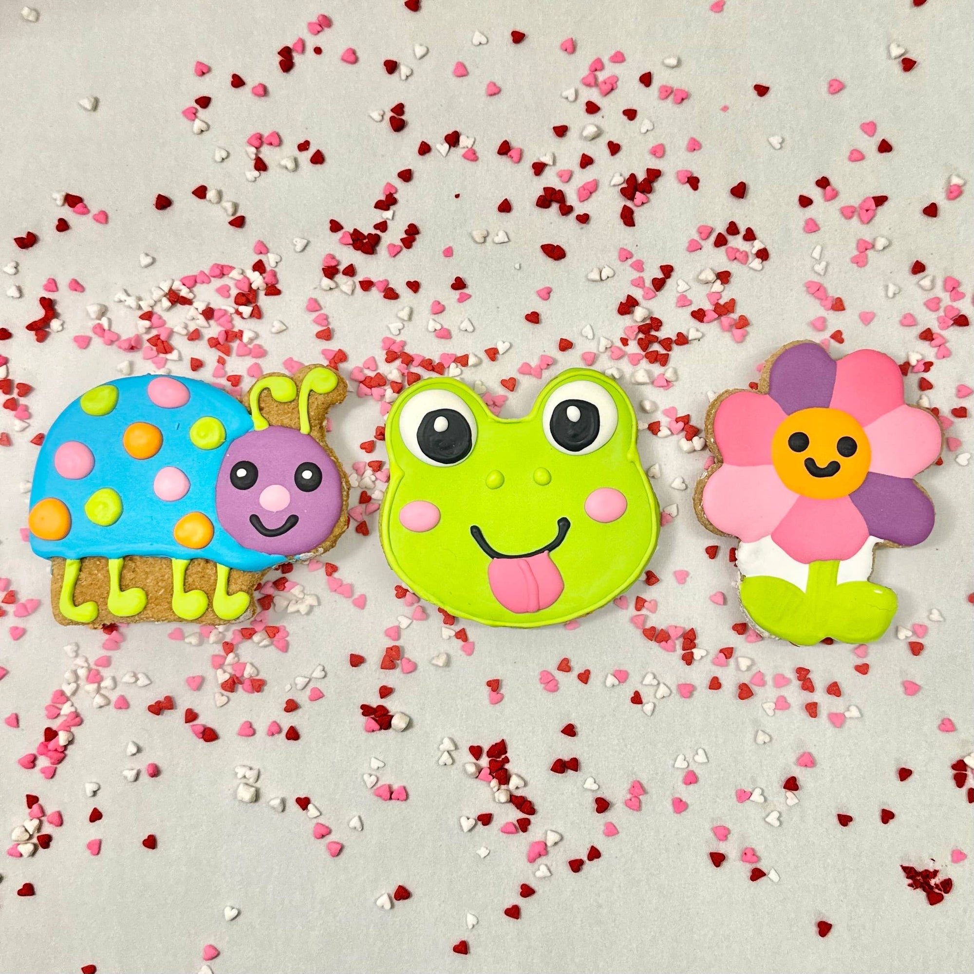 Lucky Biscuit Pet Bakery - Colorburst Spring Bloom Collection: Rainbow Petal Daisy