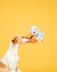BARK Big Bill & Beak-A-Boo Fish
