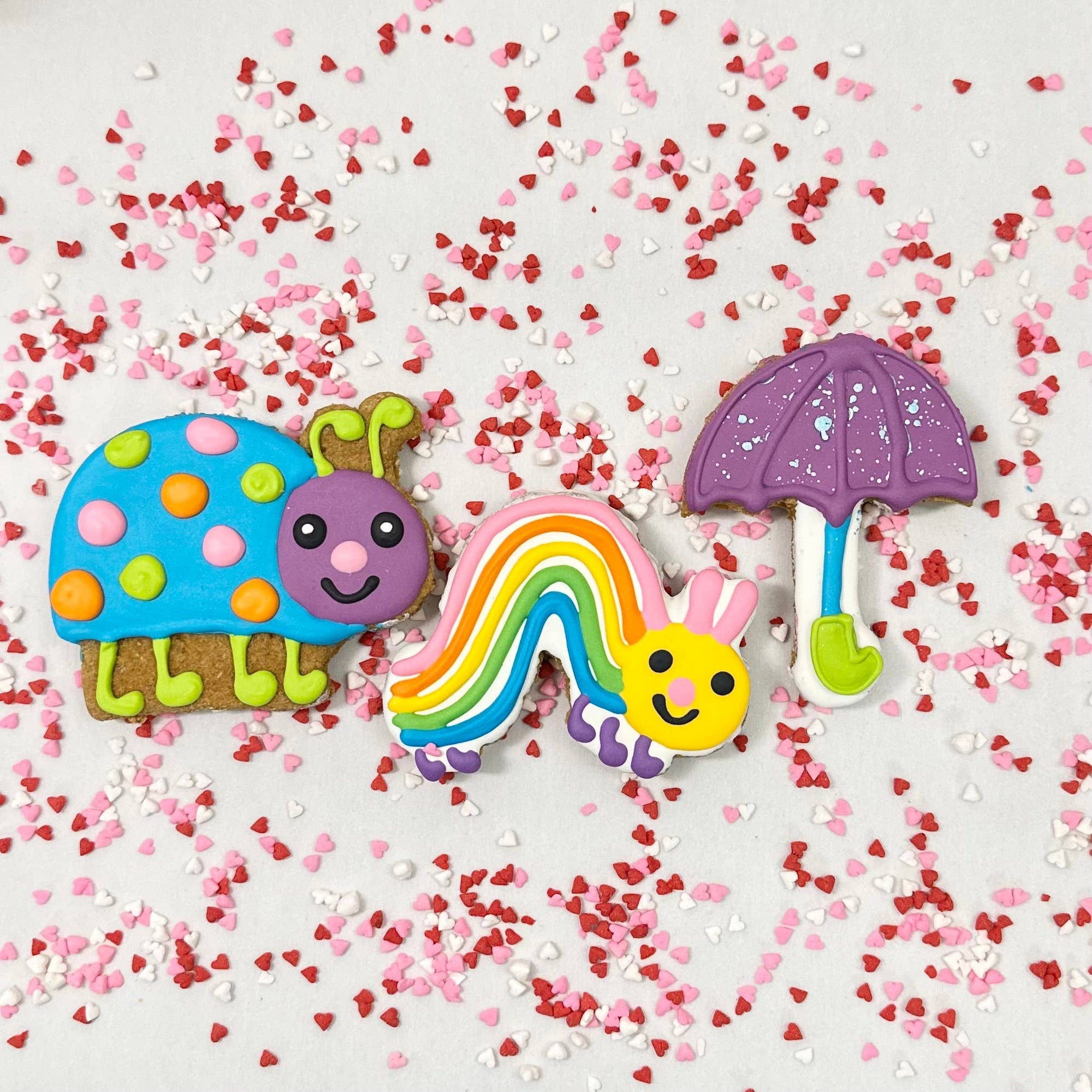 Lucky Biscuit Pet Bakery - Colorburst Spring Bloom Collection: Cosmic Otter