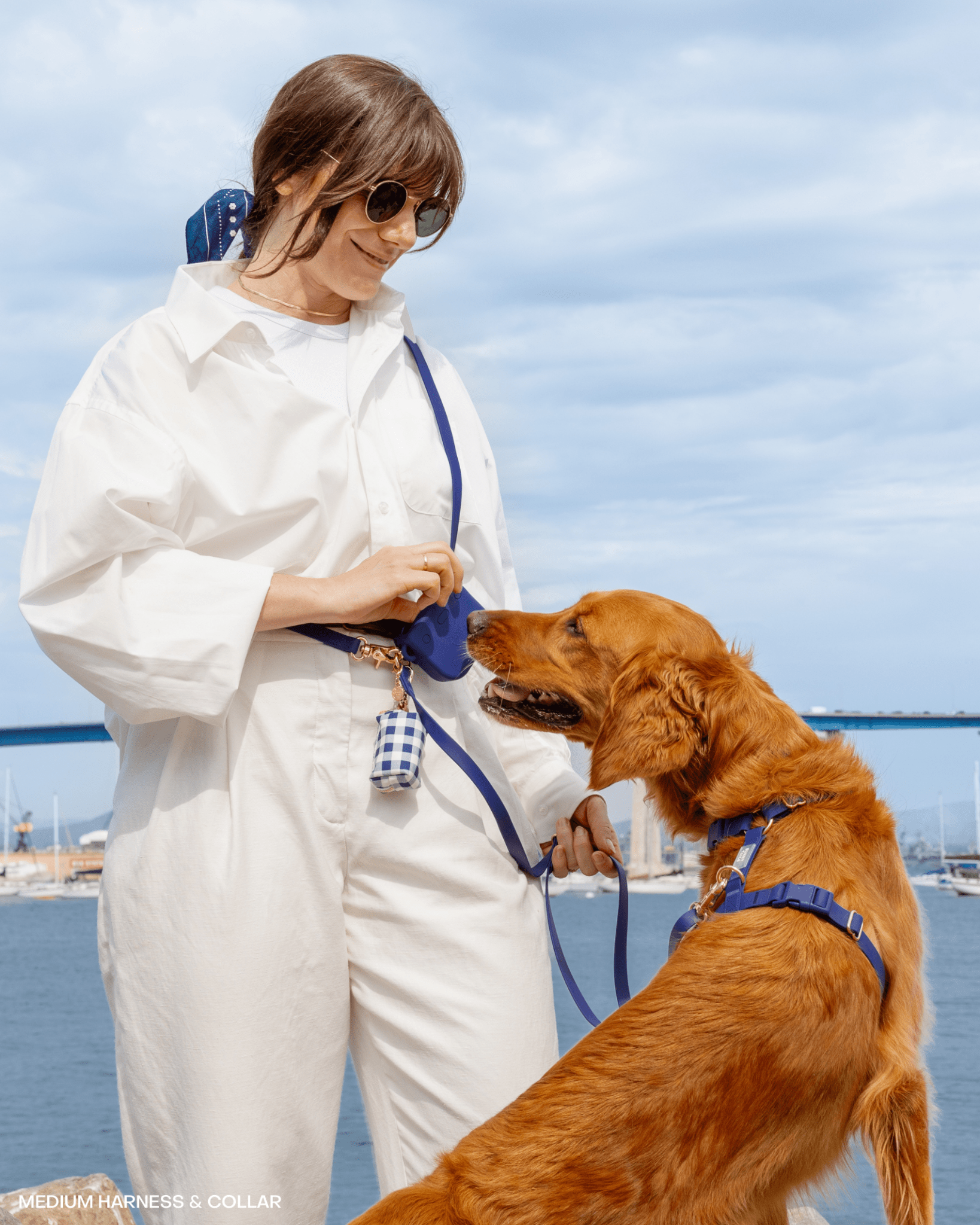 SUNNY TAILS - Signature Navy Snap Dog Treat Pouch: Standard (1/2 cup)