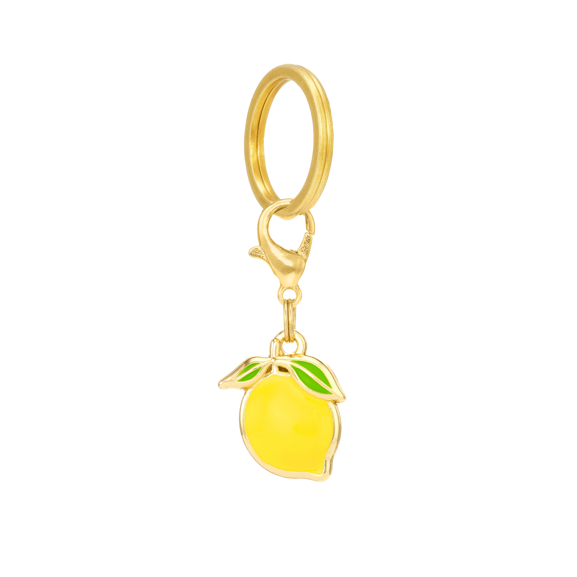 The Foggy Dog - Lemon Collar Charm: Charm Only