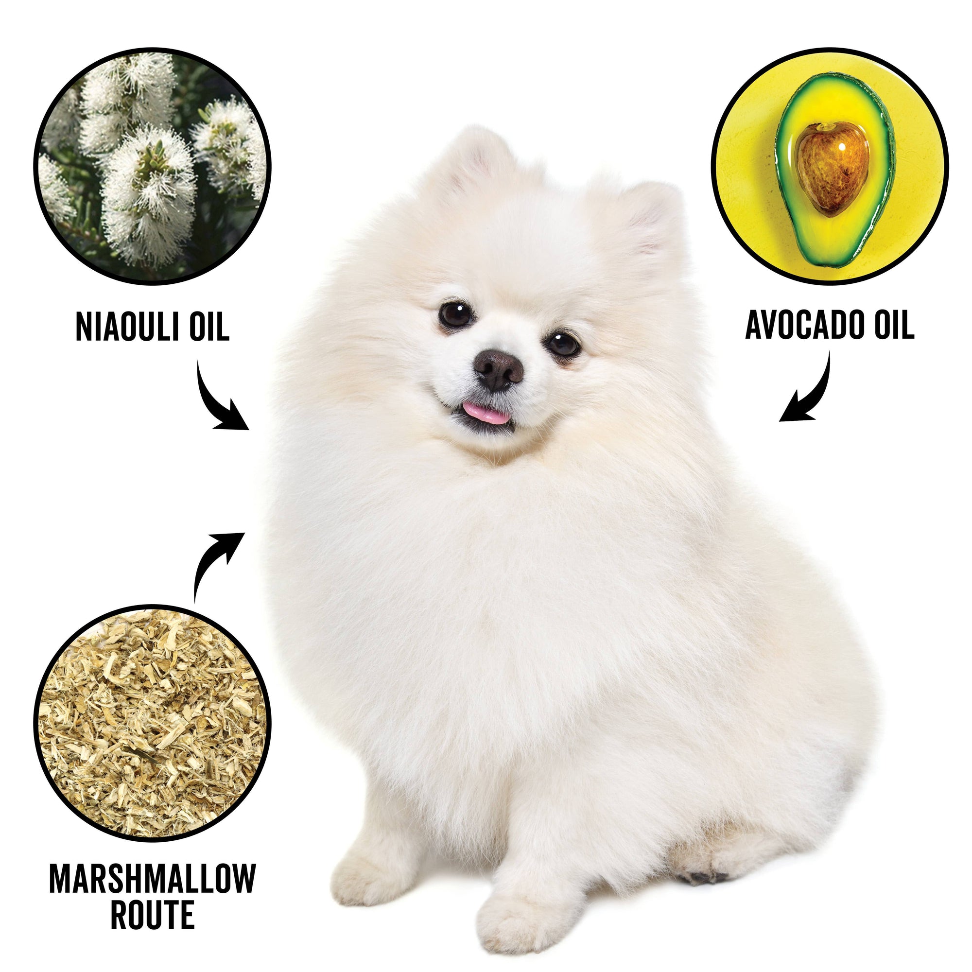 PRIDE + GROOM - DOGDAYS Conditioner Gallon