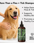 PRIDE+GROOM - THE FLEA+TICK