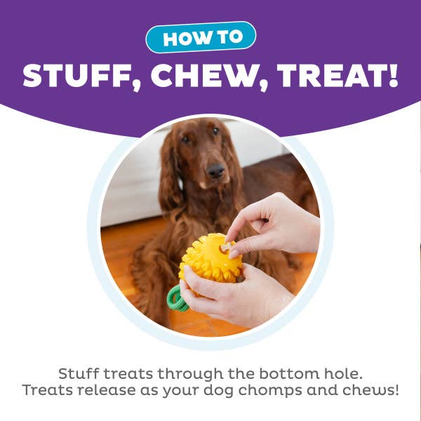 Planet Dog Dental Pineapple Dog Chew Toy Yellow